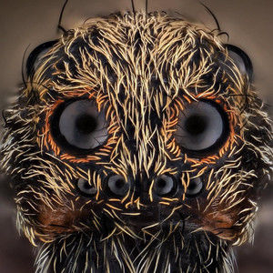 Meet your Posher, Stephen